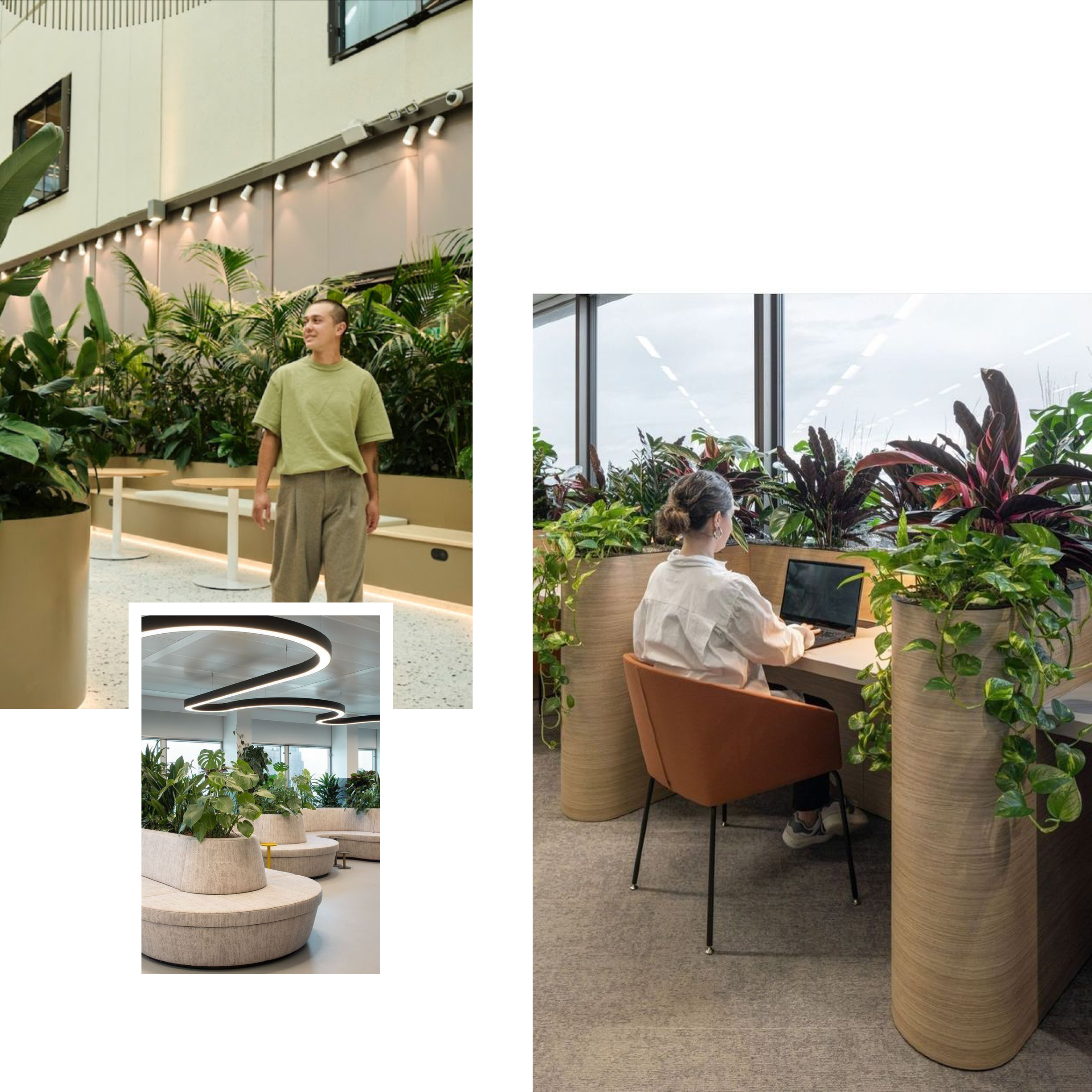 Neuroscience of Calm Spaces (19)