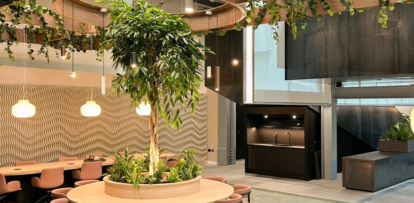 Circle Square No.1: Dragonfly Contracts