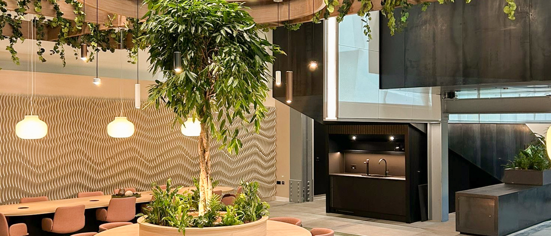 Dragonfly Contracts - Circle Square No.1 (6)