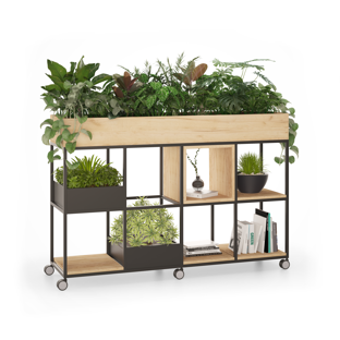 Website Thumbnails58.jpg